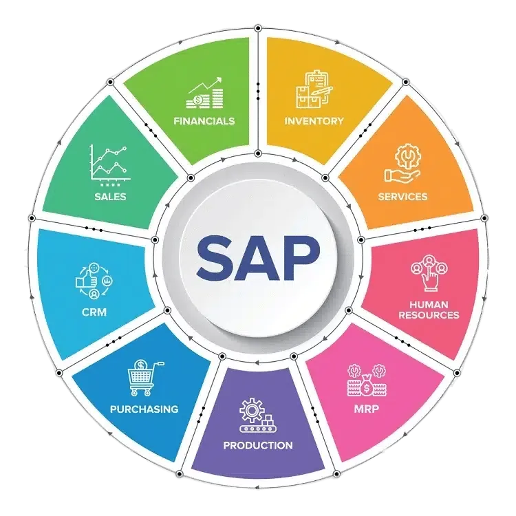 SAP Consultant