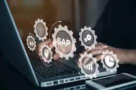 SAP Consultant